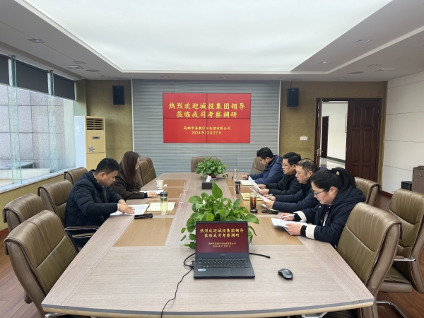 城投集團(tuán)副總經(jīng)理黨定龍赴海潮公司調(diào)研指導(dǎo)工作 (1).jpg